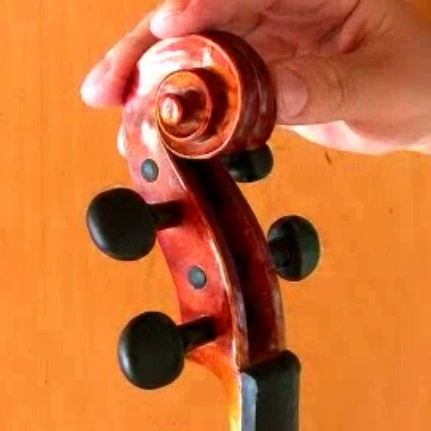 Германия Wittner Импортированная скрипка струнный вал виолон
