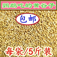 Huangguzi Shell Xiaomi Azuka Tiger Peony Parrine птицы птицы, птицы, еда, птицы, 5 фунтов бесплатной доставки