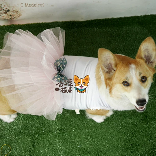 Wanman Corgie's Chubby Corgi Ballt Build Бесплатная доставка, весна и летняя сумка, собака Corgi Одежда