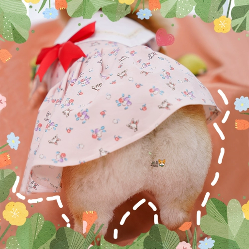 Wanwan Corgi Secret Garden Corki сладкая юбка весна и летняя летняя брызга хлопковая одежда для домашних животных собак