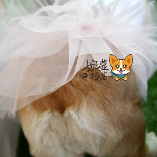 Wanman Corgie's Chubby Corgi Ballt Build Бесплатная доставка, весна и летняя сумка, собака Corgi Одежда