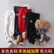Mùa thu và mùa đông cộng với quần nhung dày thể thao nữ có kích thước rộng chân lỏng lẻo là áo len mỏng lông cừu nhung Wei quần béo mm