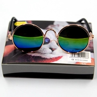 Красочные очки