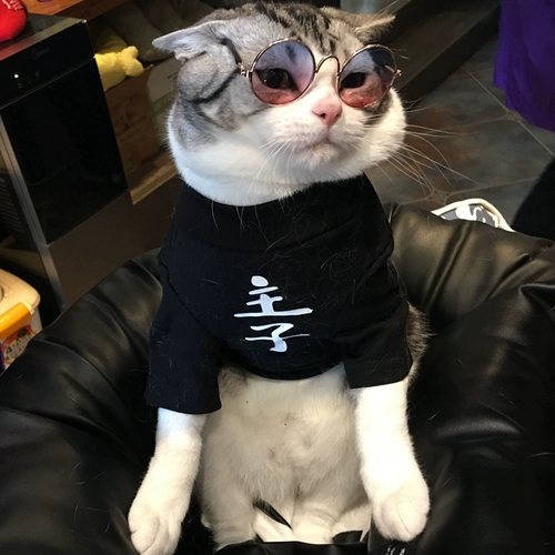 [Джессика] Кошки и собаки декоративные очки Турецкие высокие солнцезащитные очки для отдыха