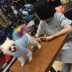 TLB tùy chỉnh cotton cha mẹ-con chó Áo thun Teddy Bomei chó nhỏ chó quần áo quần áo phòng máy lạnh mùa hè - Quần áo & phụ kiện thú cưng