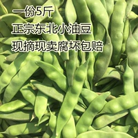 [正宗东北特产新鲜小油豆纯油豆角炖菜九月青油豆豆角 一份5斤包邮]