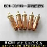G01-30 Тип 100 пропионанового газа пик