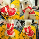 Fugui Flowers in Tang Dynasty Clothing Pet Clothing Clothing Осень и зима утолщенное хлопковое пальто праздничный фестиваль китайский стиль