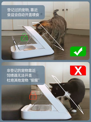 Surefeed Smart Chips Induction Multi -CAT Автоматическая подача мокрого зерна и свежие чаши для домашних кошек