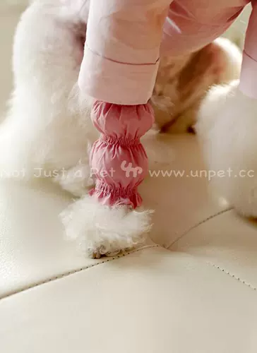 Семейство Бао Семейство Unpet Dog, дождь, водонепроницаемый, снежный, анти -пышные ноги, дождь, снег, снег, снег, длинные ноги, собаки, ходящие собаки, собаки