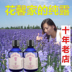 Tháng sáu Tian Tân Cương Lavender tinh khiết sương kiểm soát dầu hương liệu để làm cho bộ phim nước để làm cho vết mụn có chứa tinh dầu 500 ml nổ tinh dau sa chanh Tinh dầu điều trị