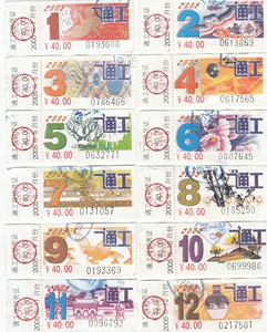 Пекин 2005 билет цветок (проходная промышленность) 12 все (водяная печать)