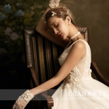 Горячая продажа CCAN Beautiful Original Firymade Warmagne Wallest Bride's Wedding Photography и Makeup