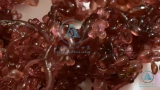 Морские водоросли 3 -1 -1 морской ичилит -каменный камень водоросли виноградные водоросли водоросли Агенциальные водоросли снова римень.