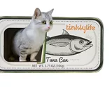 Tinklylife Convined Fish -Corrugeding Paper Cat Grabing Panel Devic