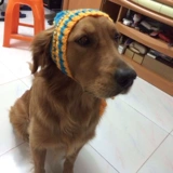 Плетеная демисезонная удерживающая тепло шерстяная шапка, подходит для подростков