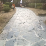 Натуральные голубы