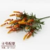 Jue Xiong mô phỏng hoa giả màu xanh lá cây sàn hoa phân vùng trang trí cây nhựa gói hoa cắm hoa DIY với chất liệu cỏ - Hoa nhân tạo / Cây / Trái cây Hoa nhân tạo / Cây / Trái cây