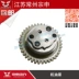 Zongshen nguyên bản xe máy ba bánh CG125 150 200 250 lắp ráp bơm dầu 35 37 39 bánh - Xe máy Gears