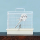 Sanko High -school Small Parrot Portable Take -out Cage Box Lift Caskets из кожи Peony Tiger Skin Suanfeng Small Sun