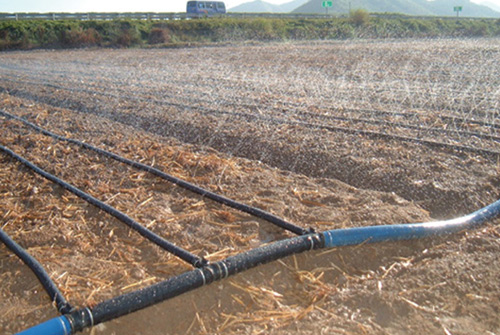 农用滴灌