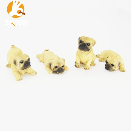 Мини -смола собачья настольная настольная настольная горшка с виппийками из пинги, чем медведь Коркака Кордонари 1