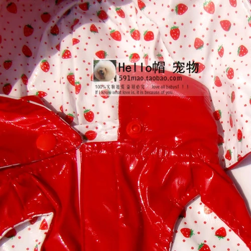 Недавно носят британские конфеты -окрашенные плащи питомцы, одежда для собак