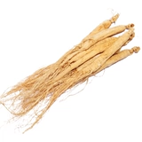 Жингенсендский ginseng Belts Bands Changbai Mountain Northest Fresh White Ginseng Non -Wild Mountain Ginseng, Ginseng, северо -восток.