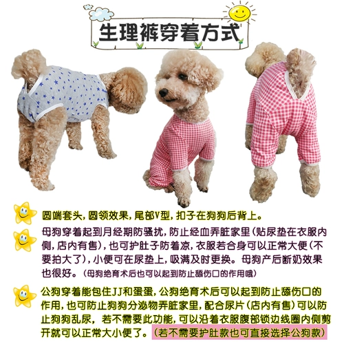 Цельные менструальные штаны для сук, штаны для тети, защита от притеснений, защита от мочеиспускания, одежда в красную полоску для четвероногих, одежда для отлучения от груди, чистый хлопок против вылизывания