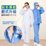 Летняя толстовка с капюшоном, комбинезон, нарукавники, комплект, большой размер