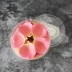 Nhật Bản LADUREE Laduli Hoa hồng quý tộc Cánh hoa hồng 6g Vẻ đẹp Petal Rouge Má - Blush / Cochineal