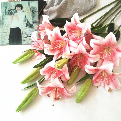 Симуляция лилия увлажнение