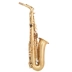 HRSD Walston Cụ Alto Saxophone Double Gia cố Vàng Giả vàng HAS-600 - Nhạc cụ phương Tây