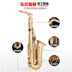 HRSD Walston Cụ Alto Saxophone Double Gia cố Vàng Giả vàng HAS-600 - Nhạc cụ phương Tây đàn guitar rosen g11 Nhạc cụ phương Tây