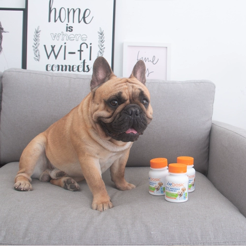 Метрские таблетки для домашних знаков.