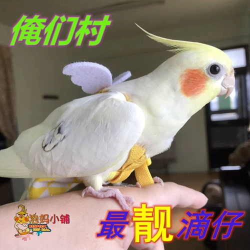 Птичья летающая веревка Тустороннее веревка Положите летающую веревку, соединяющую летающую одежду из птицы, наружная птица птичьего веревки, моча не влажная