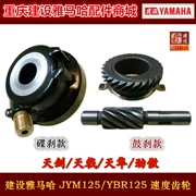 Xây dựng Yamaha Tianjian YBR125 Scorpio JYM125 Jin tự hào tốc độ răng tốc độ bánh răng - Xe máy Gears