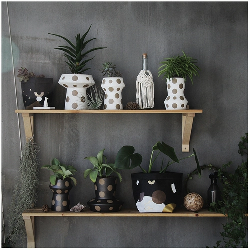 Wooken Original Dot Ceramic Flowerpot с двойным использованием высокого качества ожога матовая глазурь Керамическая горшка свиная полифоническая творческая творческая инса