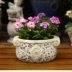 Hoa gốm thịt nồi đất sét bình hoa châu Âu retro đồ đá hoa cổ điển Victoria chậu trong chậu - Vase / Bồn hoa & Kệ Vase / Bồn hoa & Kệ