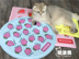 Nhật Bản Petstyle Fruit Gia Đình Ice Pad Mát Pad Pet Chó và Chó Hàng Hóa Mùa Hè Làm Mát Bát ăn inox cho chó Cat / Dog hàng ngày Neccessities