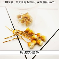 Три измерения сушеных цветов желтые (10 цветов) (10 цветов)