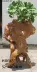 Khung cây khắc gốc tự nhiên Rắn gốc khắc gỗ trang trí Phòng khách hoa đứng khung cây cơ sở Ưu đãi đặc biệt - Các món ăn khao khát gốc bàn ghế gốc cây cực đẹp	 Các món ăn khao khát gốc