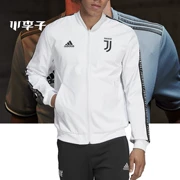 Little mận: áo khoác thể thao chính hãng adidas adidas Juventus 2019 áo khoác thể thao DP3923 - Áo khoác thể thao / áo khoác