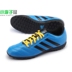 Ít mận: truy cập chính hãng Adidas Adidas Goletto vỡ nail TF cỏ nhân tạo giày bóng đá AF5006 mẫu giày thể thao nam đẹp Giày bóng đá