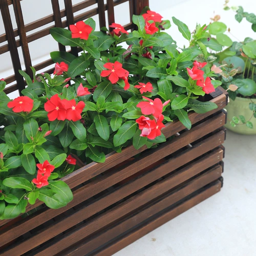 Стеновая комната с твердым деревом Стены висят цветочная подставка декоративная анти -коррозионная деревянная подвеска балкон для цветочного горшка подвесная стойка железной стенд на стене