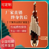 Square Sheng Instrument 17 Spring Yuan Sheng 14 Sheng Sheng Shengsheng Band использует детский инструмент Sheng Sheng Shengfeng Free Shipping