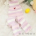 Mùa thu và ngày đông san hô lông cừu nhà quần kẹo màu dày lên quần pyjama mềm quần legging dễ thương ấm quần phụ nữ quần legging bầu Quần nóng lên