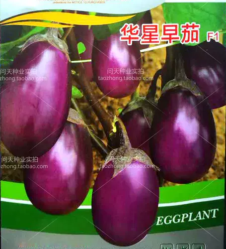 Вы можете оставить органическую фиолетовую кору баклажан