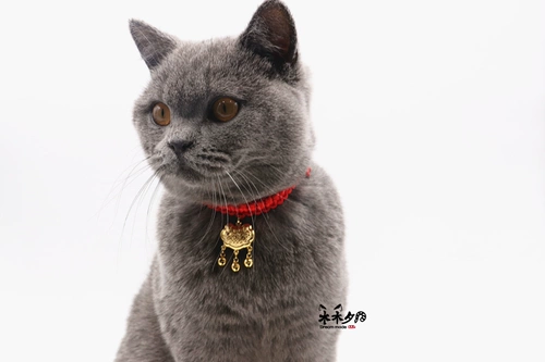 Чокер ручной работы, колокольчик, ожерелье, аксессуар, защитный амулет, домашний питомец, замок долголетия, кот