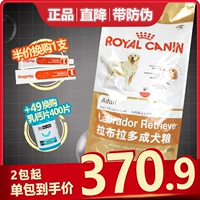 Thức ăn cho chó Hoàng gia Pháp LR30 Labrador Thức ăn cho chó trưởng thành 12kg Chó lớn Thức ăn cho chó - Chó Staples hạt cho chó con